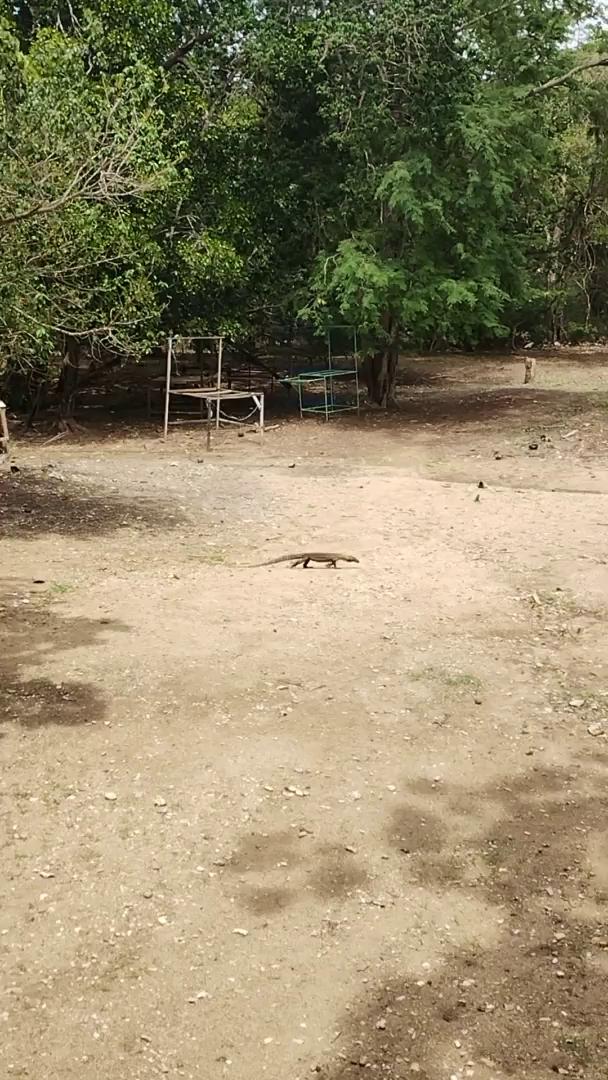 Trouvez le circuit idéal pour votre famille, adapté à tous les âges avec plus de 394 circuits familiaux disponibles dans la région Indonésie.