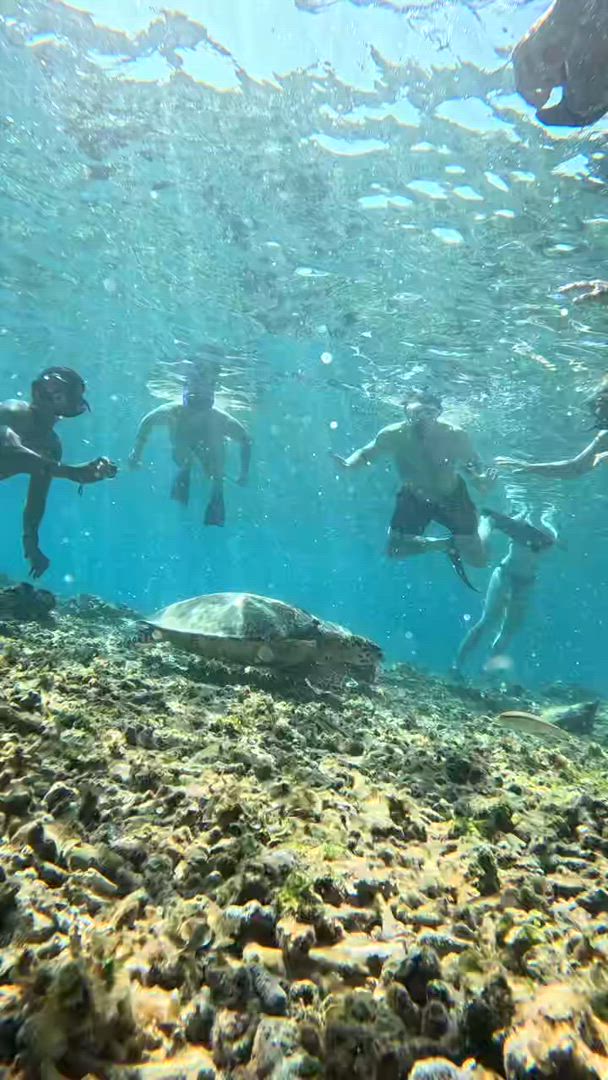 Bali Classic 12 jours - One Life Adventures customer review video