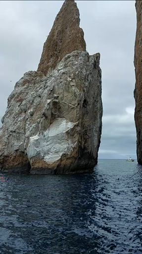 TourRadar a réuni les meilleurs d'île en île. Nous vous proposons 464 aventures dans 59 pays différents. Ces circuits durent entre une journée et 90 jours.