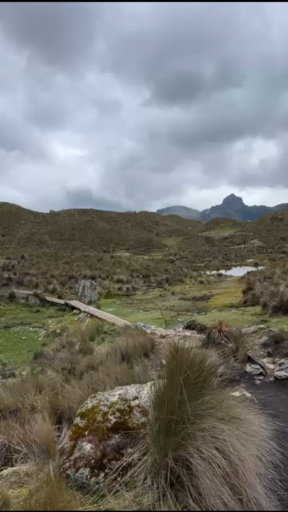 Ontmoet locals die hun erfgoed vieren door hun aanstekelijke liefde voor festivals en eten, ontdek de geheimen van het verleden in Machu Picchu en Teotihuacán of sta versteld van de droge vlaktes van de Atacama-woestijn en de zoutvlakten van Uyuni. Van de turquoise wateren van <a href="/nl/d/playa-del-carmen">Playa del Carmen</a> tot de Gateway of Antarctica in Ushuaia, een avontuur in Latijns-Amerika is zowel onvoorspelbaar als opwindend, of je nu een kleurrijke onderwaterwereld in Belize wilt verkennen, je wilt vergapen aan de wonderen van <a href="/nl/v/regio-iguazu-watervallen">de Iguassu-watervallen</a> of Caribische delicatessen wilt proeven in Cartagena.