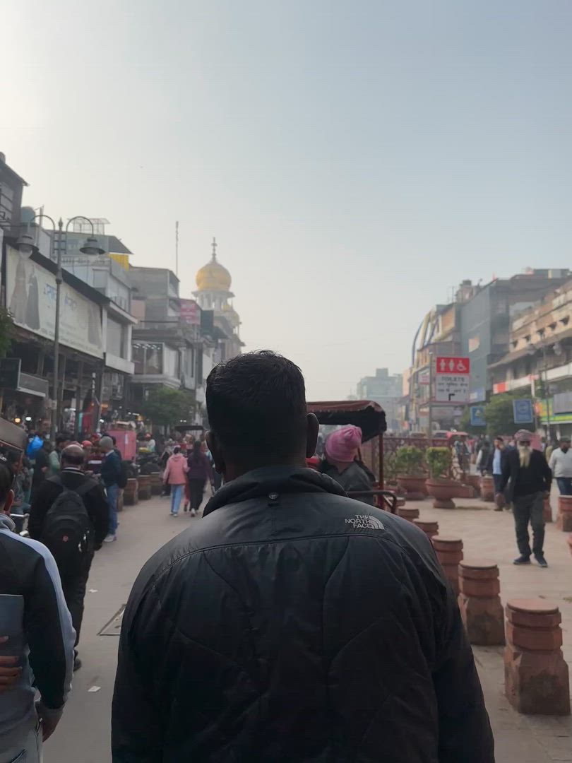 Adventures Ranthambore Wildlife Safari Tour avec l'Inde du Nord complète 15 jours customer review video