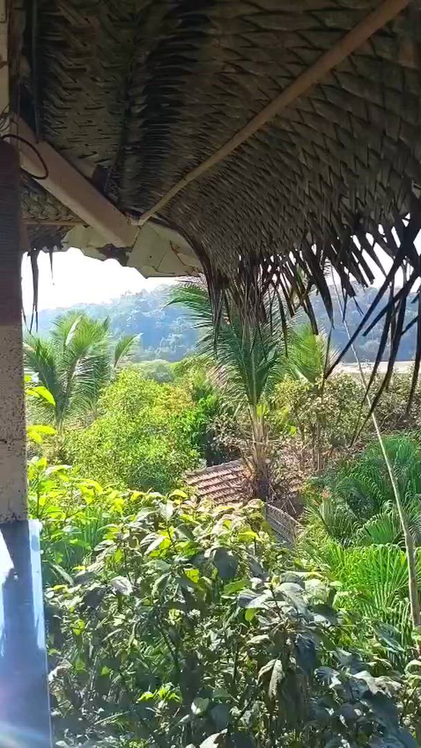 L'Inde du Sud dévoilée customer review video