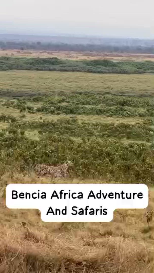 Trouvez votre circuit idéal au Kenya. Nous avons 1037 aventures à vous proposer au Kenya entre une journée et 28 jours.
