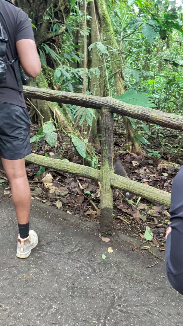 Quête de la Costa Rica customer review video