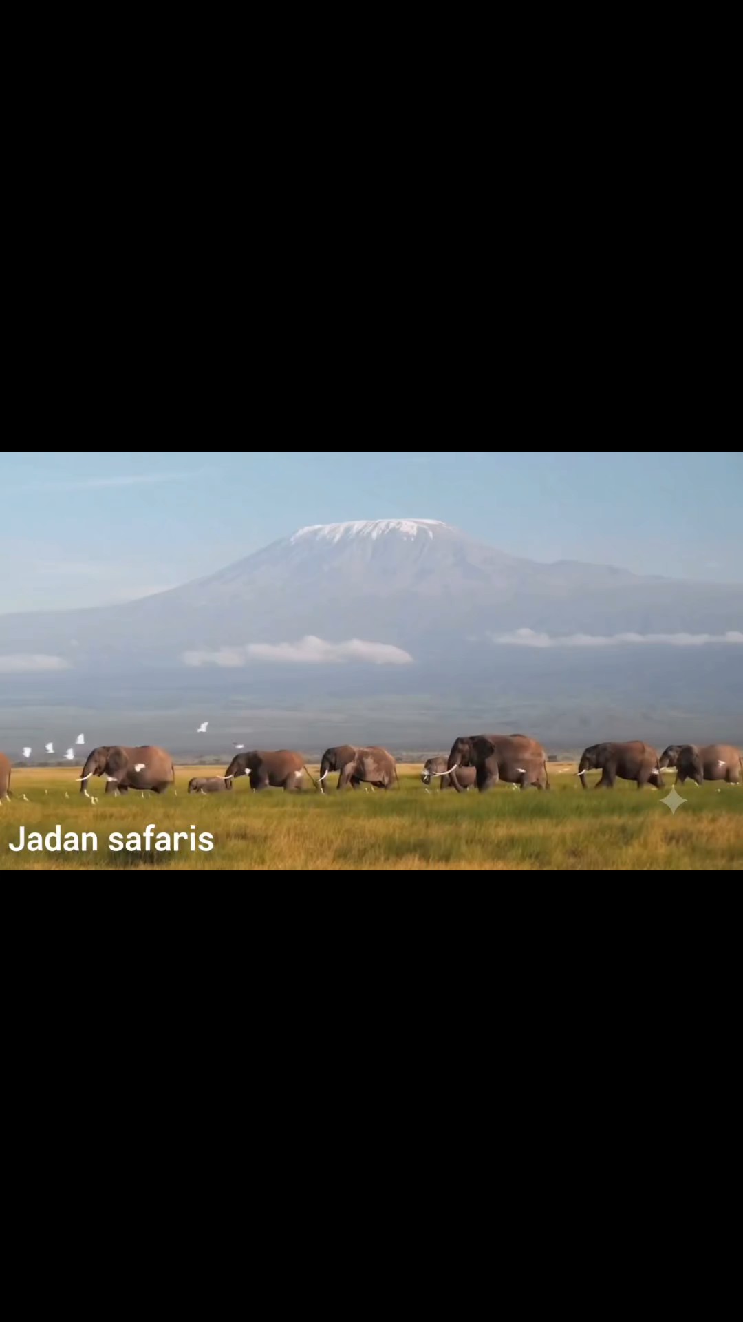 Encuentra el paquete de circuitos adecuado para ti por el Parque Nacional del Lago Nakuru. Tenemos 114 viajes por el Parque Nacional del Lago Nakuru, a partir de 3 días de duración y el circuito más largo de 15 días.