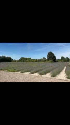 Cycle Provence Tour