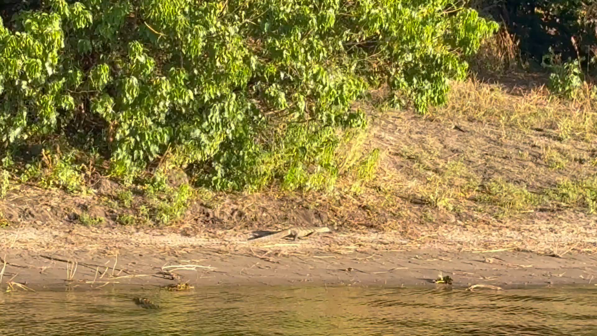 Vídeo de reseña del cliente sobre Delta y cataratas en dirección este: Árboles baobab y vistas al río