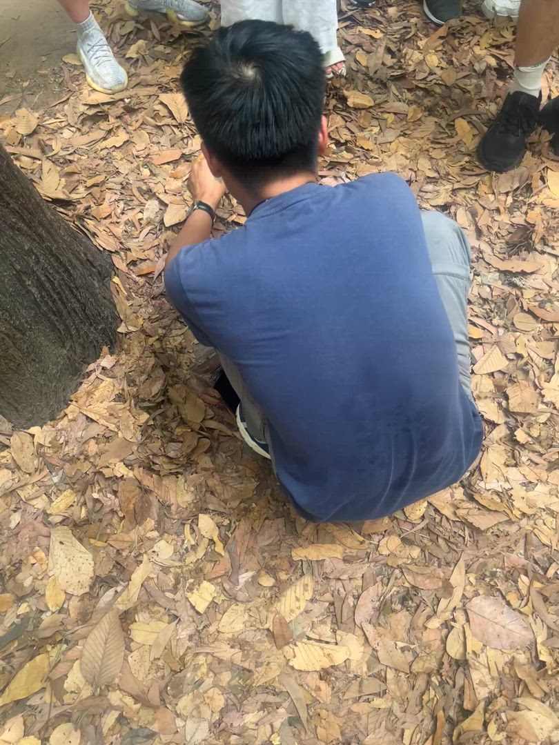 Hanoi to Siem Reap Adventure - 21 days customer review video