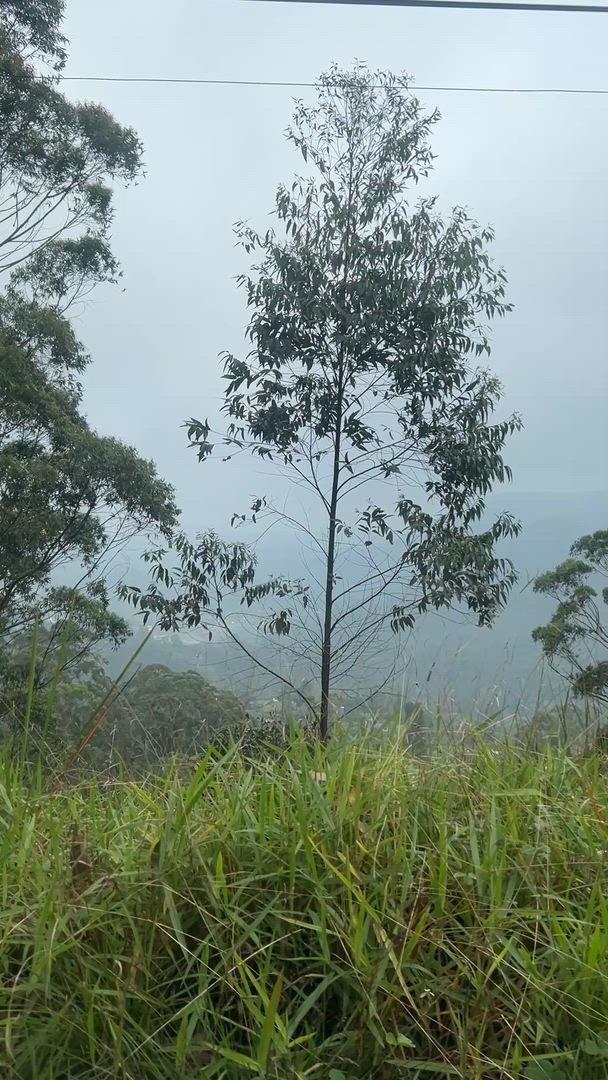 video met klantbeoordeling van Exclusieve rondreis door Sri Lanka