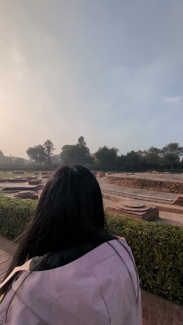 Group/Private Golden Triangle with Varanasi With Luxury 4 Star Hotels customer review video