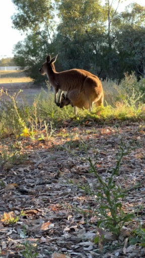 Trouvez votre circuit idéal dans la région Côte ouest de l'Australie. Nous avons 59 aventures à vous proposer dans la région Côte ouest de l'Australie. Le mois le plus apprécié pour s'y rendre est Août, c'est-à-dire le mois qui compte le plus grand nombre de départs.