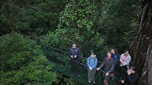 Trouvez votre circuit idéal dans la région Monteverde. Nous avons 68 aventures à vous proposer dans la région Monteverde. Le mois le plus apprécié pour s'y rendre est Novembre, c'est-à-dire le mois qui compte le plus grand nombre de départs.