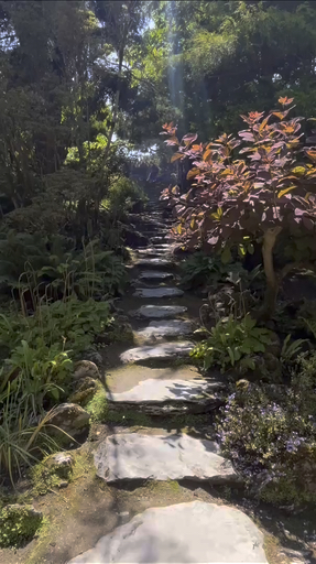 Trouvez votre circuit idéal dans la région Sud de l'Irlande. Nous avons 307 aventures à vous proposer dans la région Sud de l'Irlande. Le mois le plus apprécié pour s'y rendre est Juin, c'est-à-dire le mois qui compte le plus grand nombre de départs.