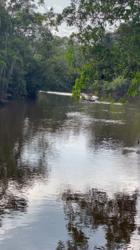 Vind de juiste reis voor jou naar Amazonegebied Ecuador. We hebben 59 reizen die naar Amazonegebied Ecuador gaan, de kortste is 3 dagen lang, en de langste is 15 dagen.