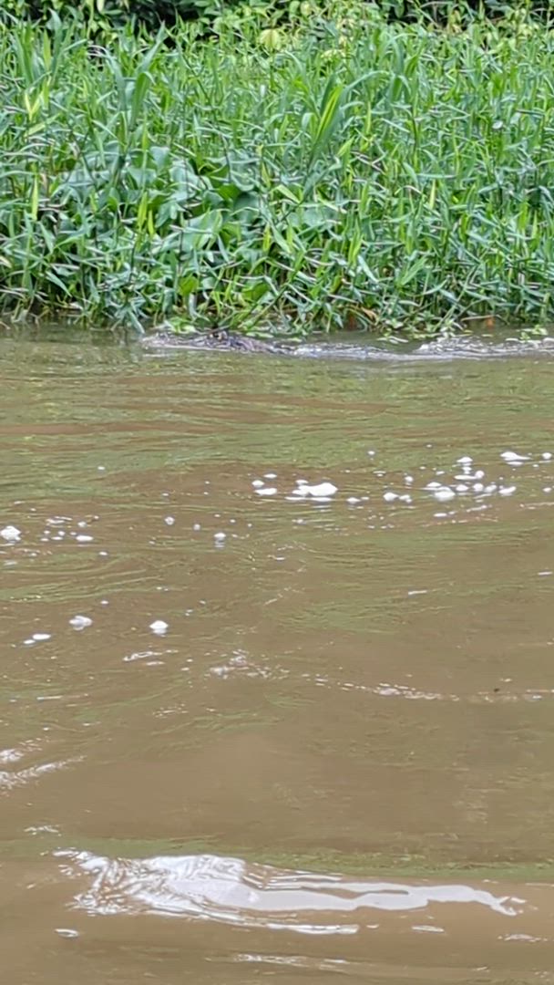 Vídeo de reseña del cliente sobre Volcanes, naturaleza y Caribe