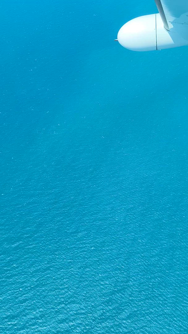 Australien: Ostküste Abenteuer 28 Tage Kundenbewertungsvideo