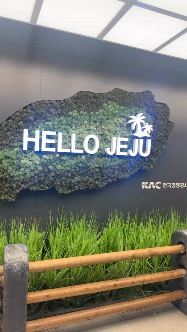 Vídeo de reseña del cliente sobre Aventura de 12 días en Corea del Sur: desde Seúl hasta la isla de Jeju