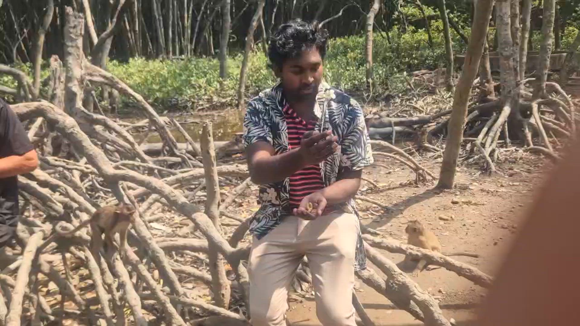 Le meilleur du Vietnam en 14 jours customer review video