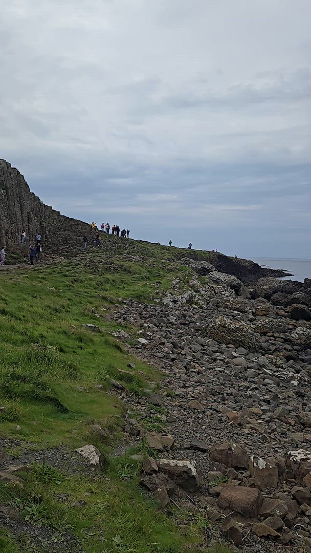 Vídeo de reseña del cliente sobre Explorador irlandés