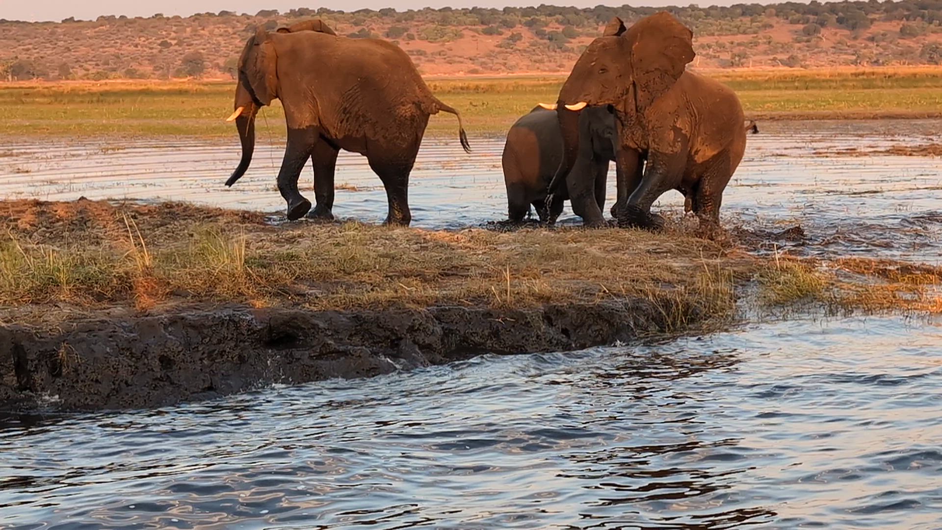 Trouvez votre aventure idéale en Afrique du Sud, Zimbabwe et Botswana. Nous avons 129 à vous proposer en Afrique du Sud, Zimbabwe et Botswana durant entre 5 et 30 jours.
