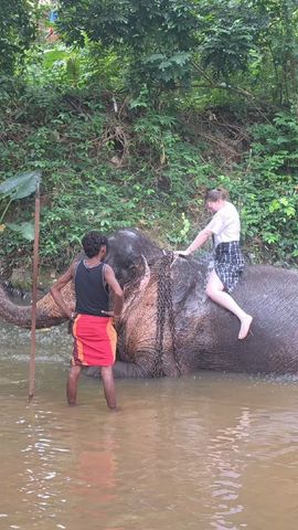 Rondreis door Sri Lanka - 4 dagen-rondreis