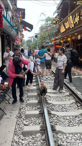 Picture limestone peaks rising from emerald waters creating Vietnam's most photographed seascape. Halong Bay's scattered islands hide hidden caves, calm lagoons perfect for kayaking, protected coves for swimming. Tours include exploring vast chambers and kayaking between karsts through otherworldly scenery. The sunsets here go on forever, giving you memories to last a lifetime.