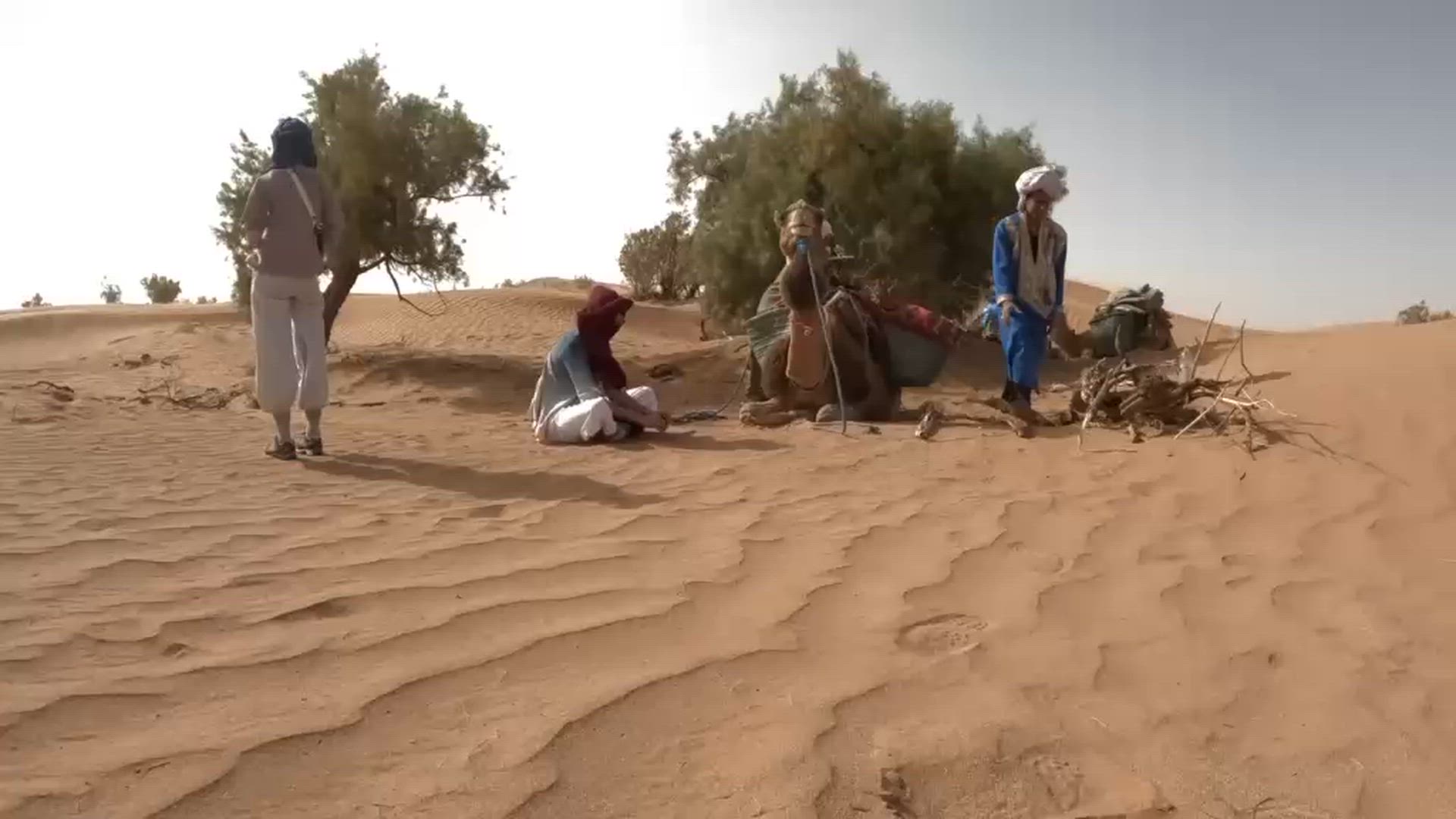 video met klantbeoordeling van 3 Dagen Avontuurlijke trektocht op een kameel in de Sahara-woestijn van Marokko