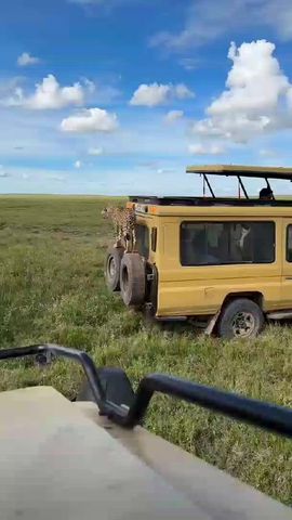 3 Days – Serengeti and Ngorongoro Crater Wildlife camping Safari Tour