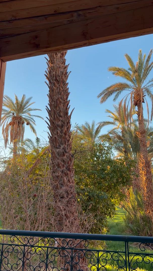 video met klantbeoordeling van De Smaak van Marokko – 4 dagen van Marrakech –Skoura Palmoase –Merzouga&Erg Chebbi duinen terug naar Marrakech