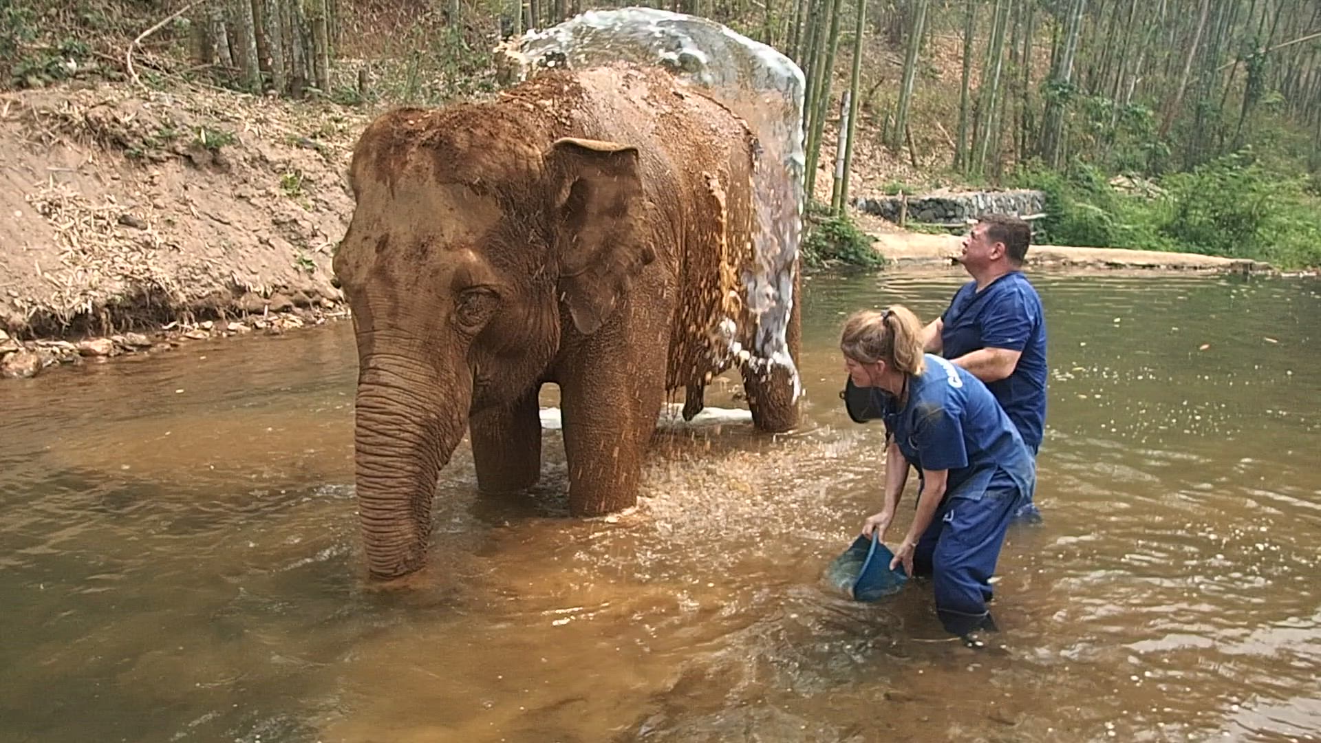 Vídeo de reseña del cliente sobre Tailandia clásica En 12 días - Bangkok/Chiang Mai/Phuket