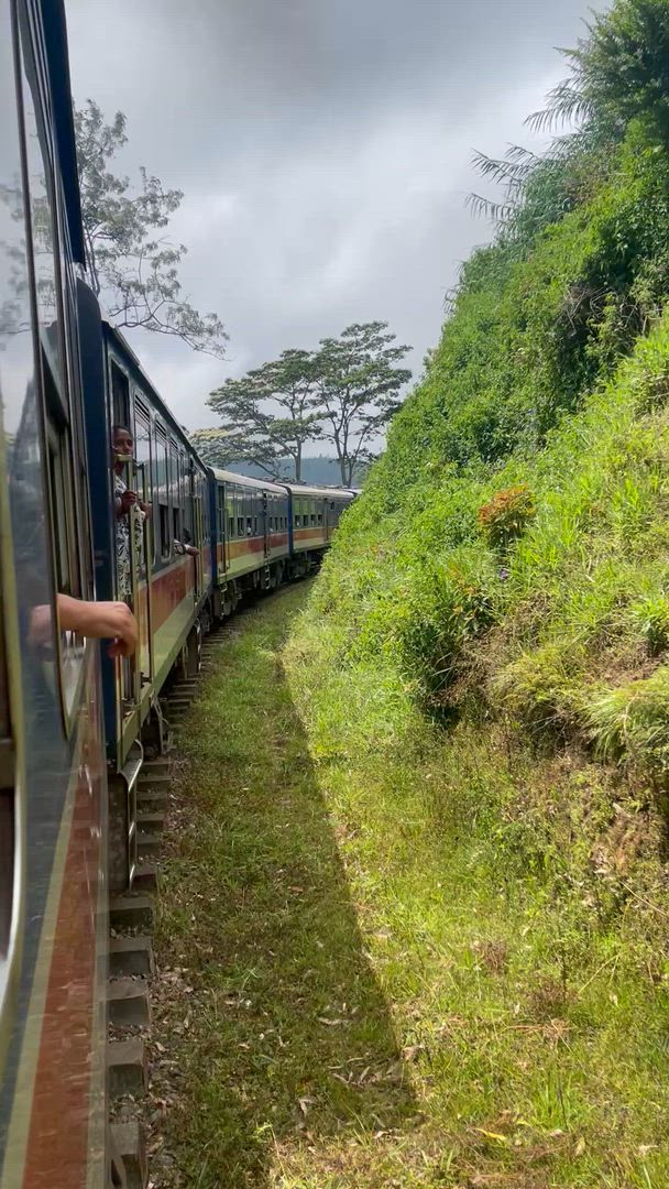 Vídeo de reseña del cliente sobre Aventura familiar en Sri Lanka