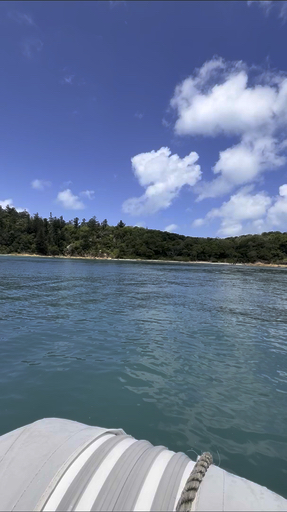 Trouvez votre circuit idéal en Australie. Nous avons 544 aventures à vous proposer en Australie entre une journée et 91 jours. Le mois le plus apprécié pour s'y rendre est octobre, c'est-à-dire le mois qui compte le plus grand nombre de départs.