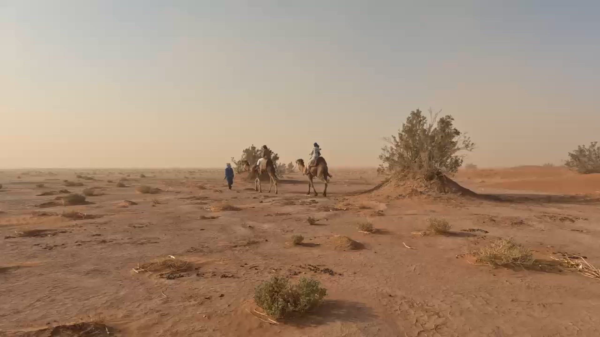 video met klantbeoordeling van 3 Dagen Avontuurlijke trektocht op een kameel in de Sahara-woestijn van Marokko