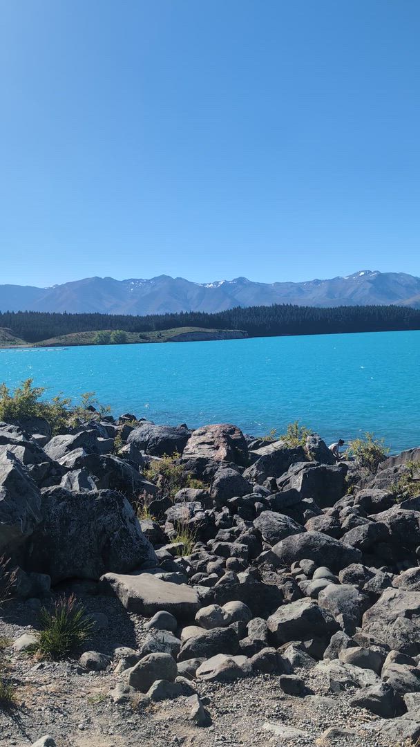 Les points forts de la Nouvelle- Zélande customer review video