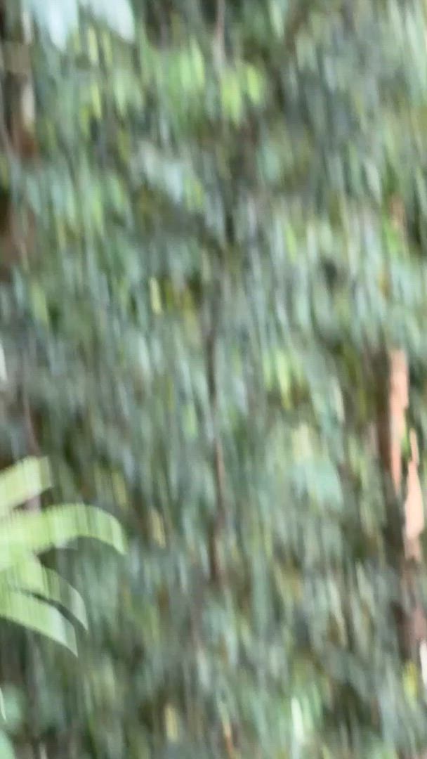 Wunder von Asien 26 Tage Kundenbewertungsvideo