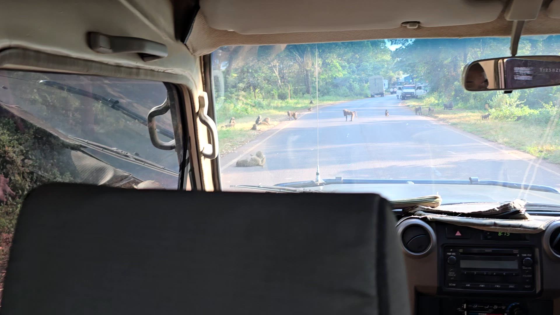 Safari classique Big Five en Tanzanie **Approche de voyage durable customer review video