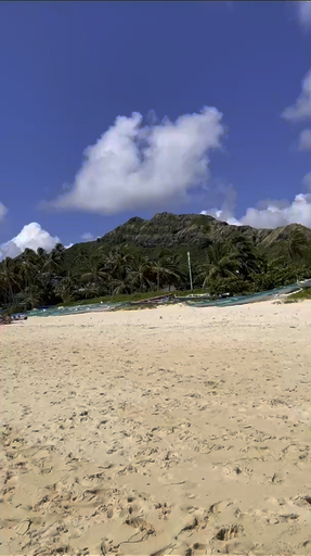 Hawaii's warm Aloha spirit is ready to greet you. Visit somber Pearl Harbor and historic sites in Honolulu where World War II history comes to life. Visit Hawaii Volcanoes National Park, where lava still flows and makes new land. Learn about Kona's famous coffee and sea salt production at family farms. And, of course, enjoy a traditional Hawaiian Luau dinner with hula dancing under the stars.