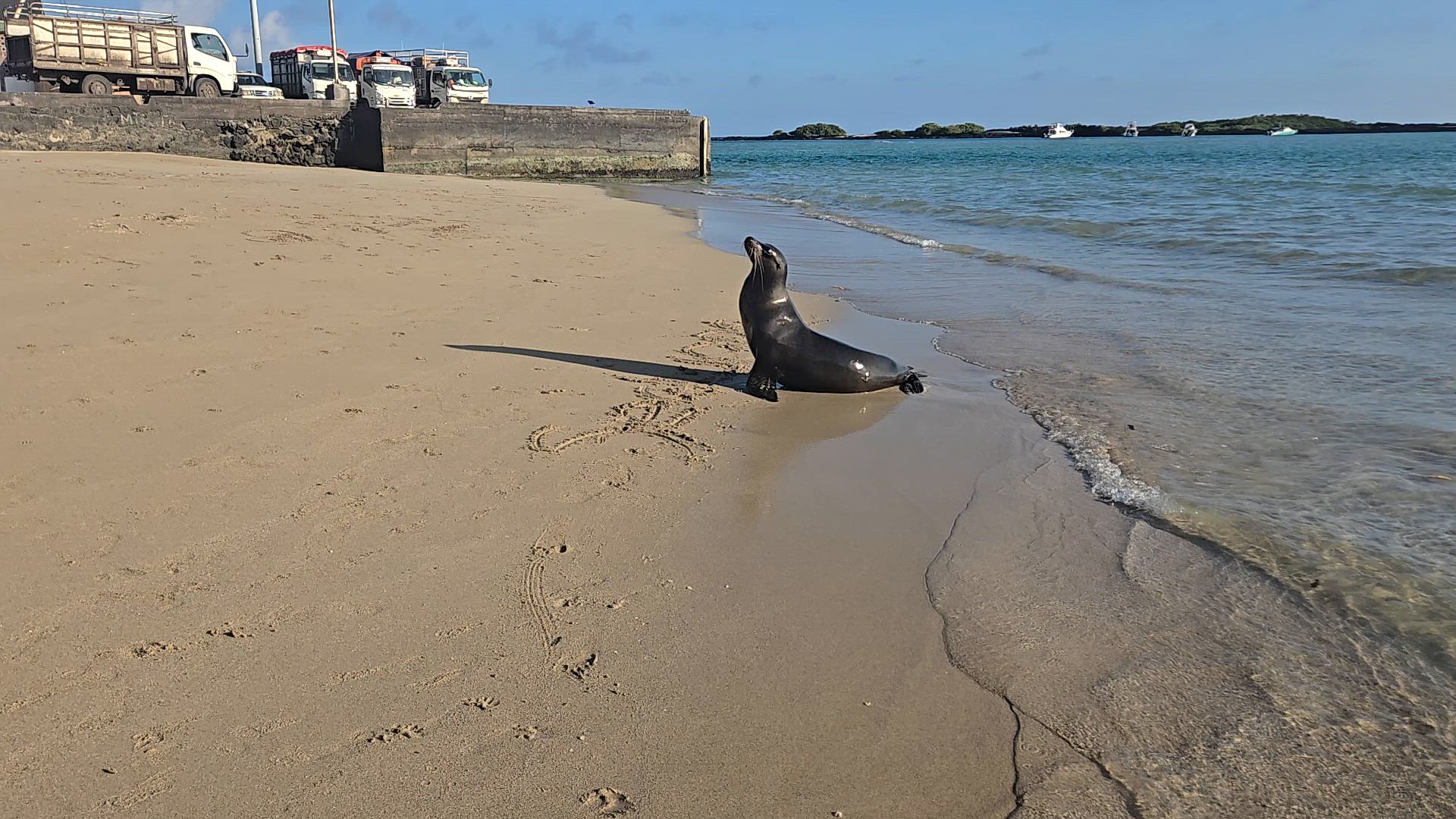 Vídeo de reseña del cliente sobre 4 días en las Islas Galápagos