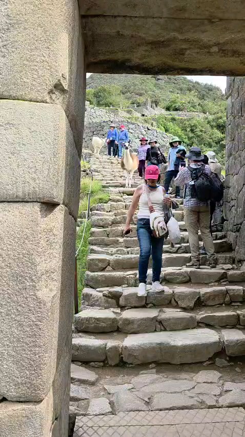 Reisen Sie in ein Land voller Kultur und Geschichte und entdecken Sie <a href="/de/v/berg-machu-picchu">Machu Picchu</a>, die verlorene Stadt der Inka. Vom Wandern im Andenhochland bis hin zu einem Treffen mit Einheimischen auf den Inseln im Titicaca See, eine Rundreise durch Peru bietet eine Vielzahl an Aktivitäten für jeden Geschmack. Begeben Sie sich mit Schamanen auf ein Ayahuasca Abenteuer im <a href="/de/v/fluss-peru-amazonas">Amazonas</a>, reisen Sie nach Cusco, wandern Sie auf den bunten Rainbow Mountain in Vinicunca oder verbinden Sie Ihre Peru Rundreise mit einem Abstecher nach Ecuador, auf die <a href="/de/v/region-machu-picchu-galapagos">Galapagos Inseln</a>, für das perfekte Südamerika Abenteuer.