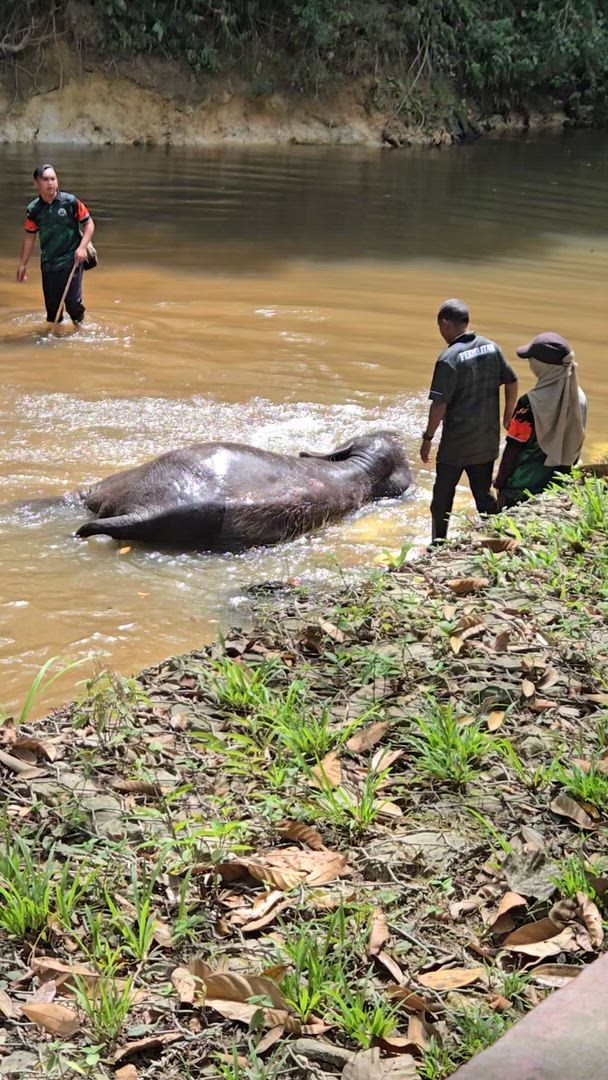 City to Serenity: 9-Day Malaysian Discovery customer review video