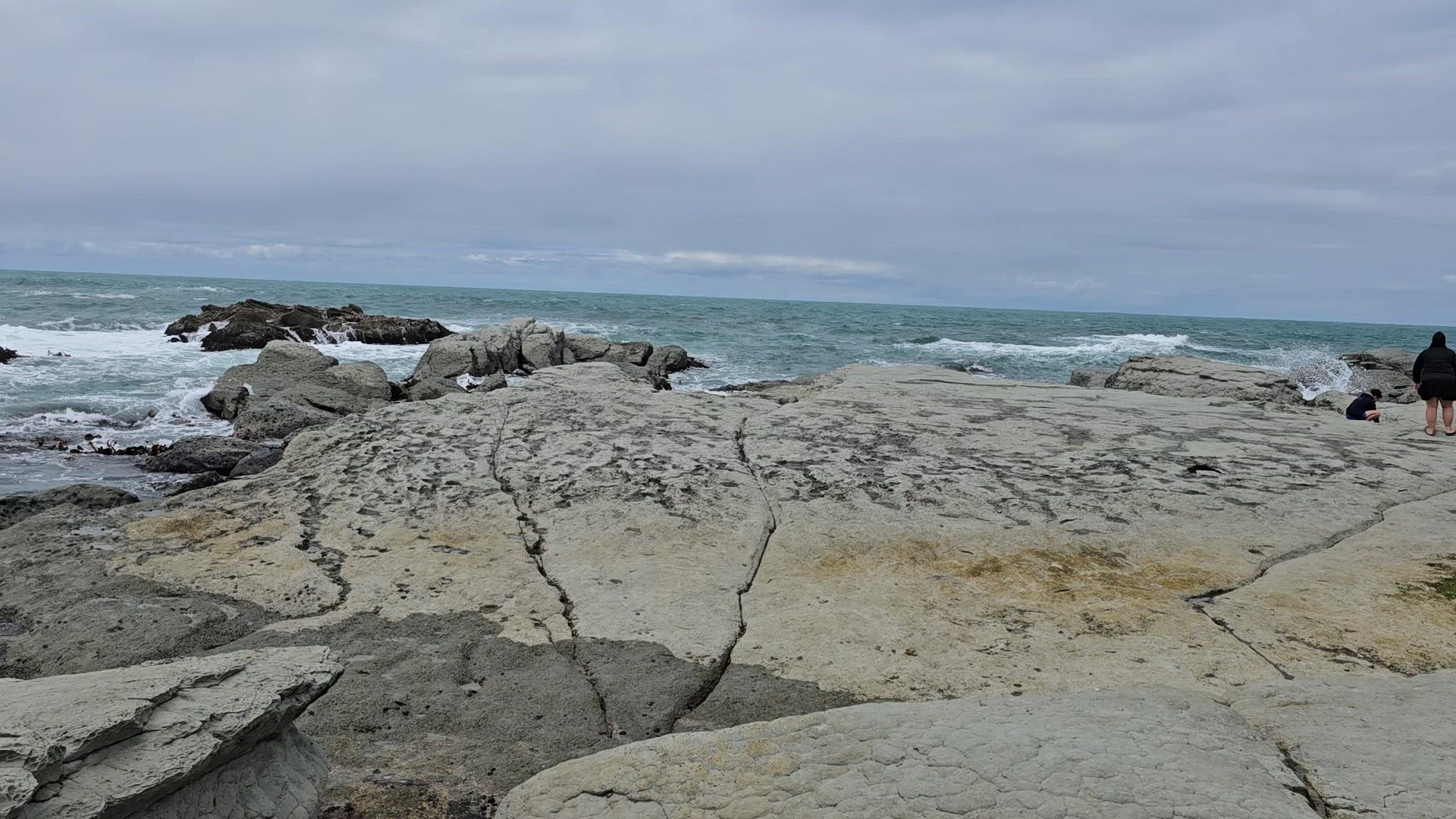 Nouvelle-Zélande Vista customer review video