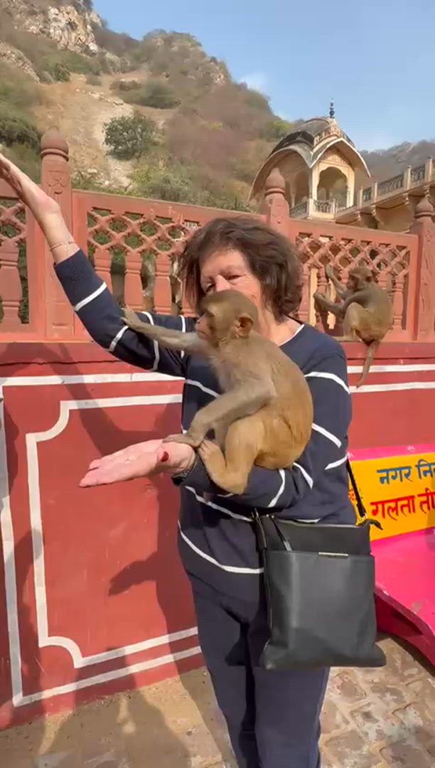 Vídeo de reseña del cliente sobre Triángulo de Oro con el Parque del Tigre de Ranthambhore y Benarés Desde Delhi