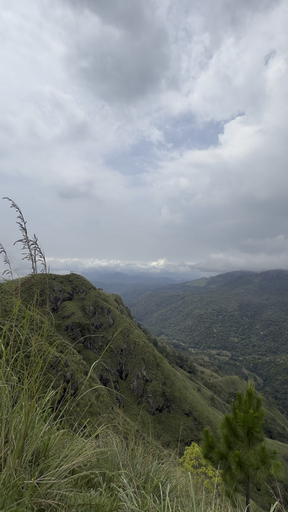 Encuentra el paquete de circuitos adecuado para ti en el Parque Nacional de Yala. Tenemos 105 viajes por el Parque Nacional de Yala, a partir de 3 días de duración y el circuito más largo de 18 días.