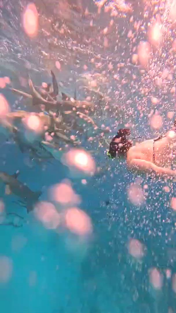 Trouvez votre circuit idéal au Maldives. Nous avons 62 aventures à vous proposer au Maldives entre 3 et 11 jours.