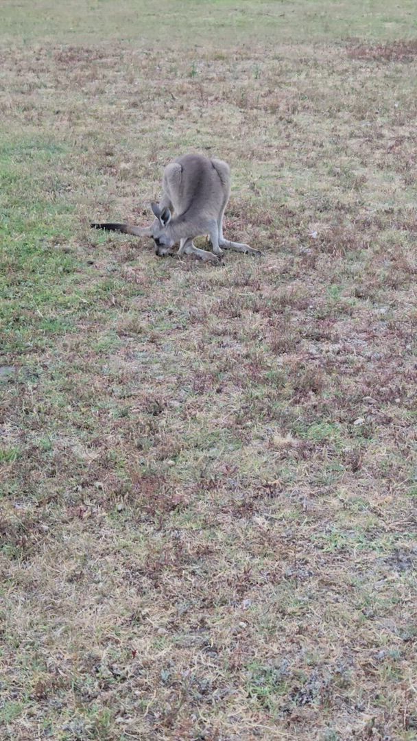 Vídeo de reseña del cliente sobre De Adelaida a Melbourne en 3 días por tierra vía Grampians y Great Ocean Road