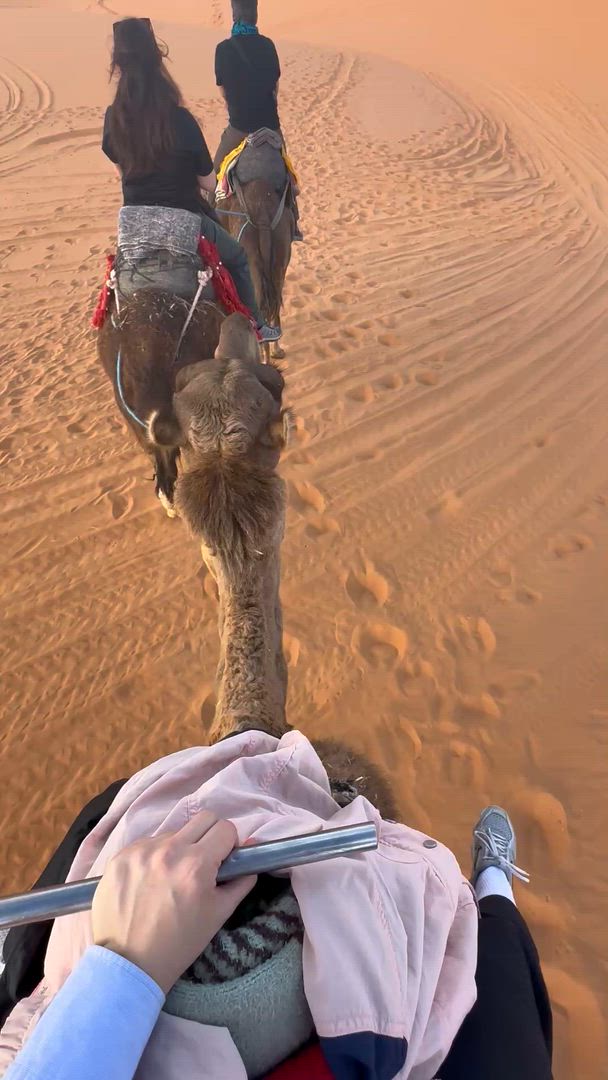 3 Tage Wüstengruppenreise von Marrakesch zum Merzouga Wüstencamp customer review video