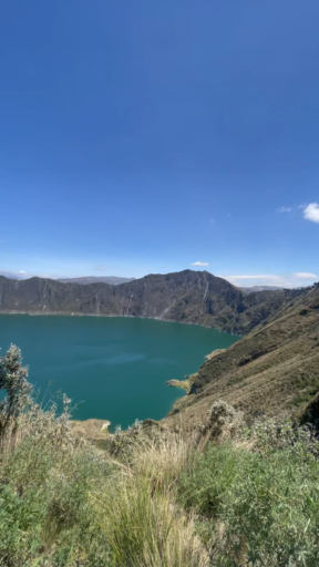 Encuentra el paquete de circuitos adecuado para ti en el Ecuador Sierra Andina. Tenemos 174 viajes por el Ecuador Sierra Andina, a partir de 3 días de duración y el circuito más largo de 18 días.