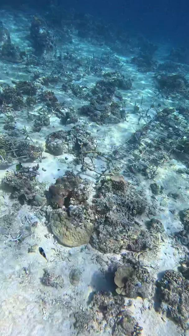 Bali Classic 12 jours - One Life Adventures customer review video