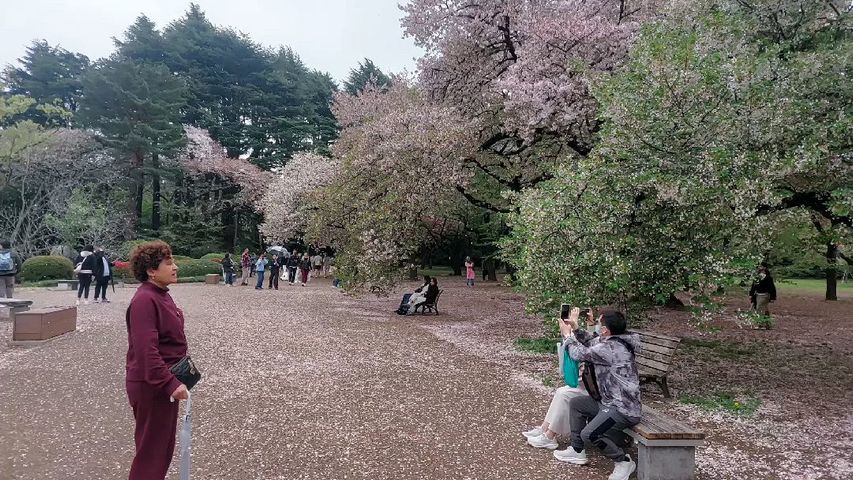 Circuito 15 Días Descubre Japón con Hiroshima
