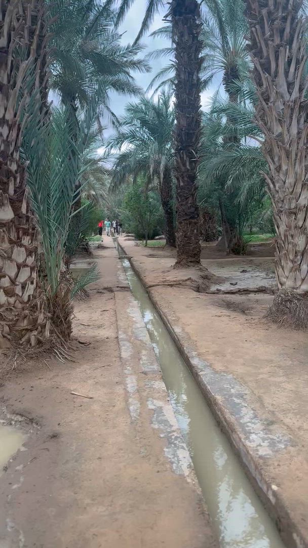 Circuit de 7 jours au Maroc au départ de Casablanca : les villes impériales et le désert du Sahara vidéo d'avis client
